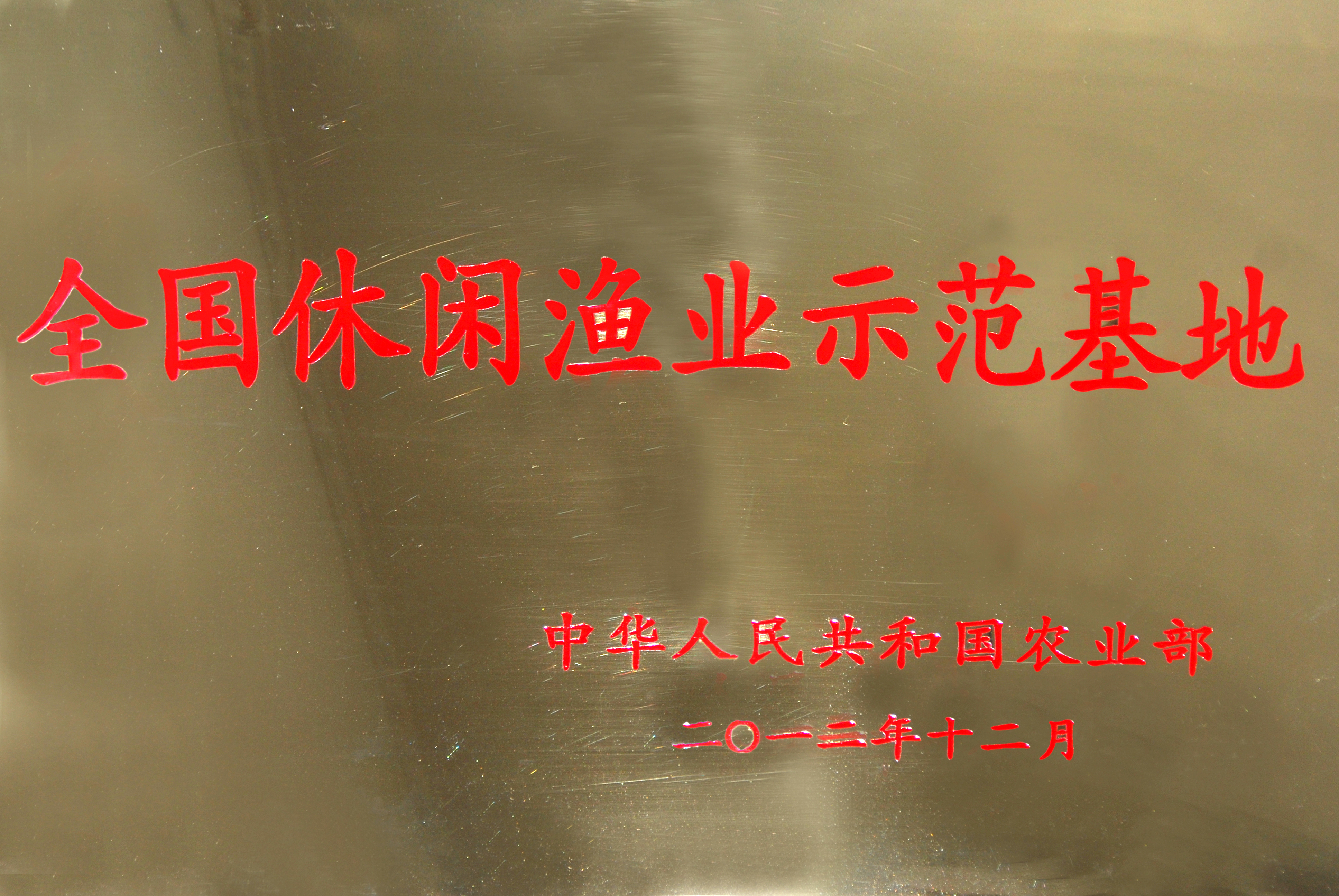 榮譽證書（國家級）